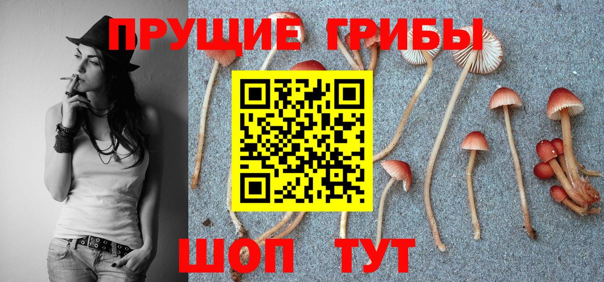 Псилоцибиновые грибы GOLDEN TEACHER Калач-на-Дону